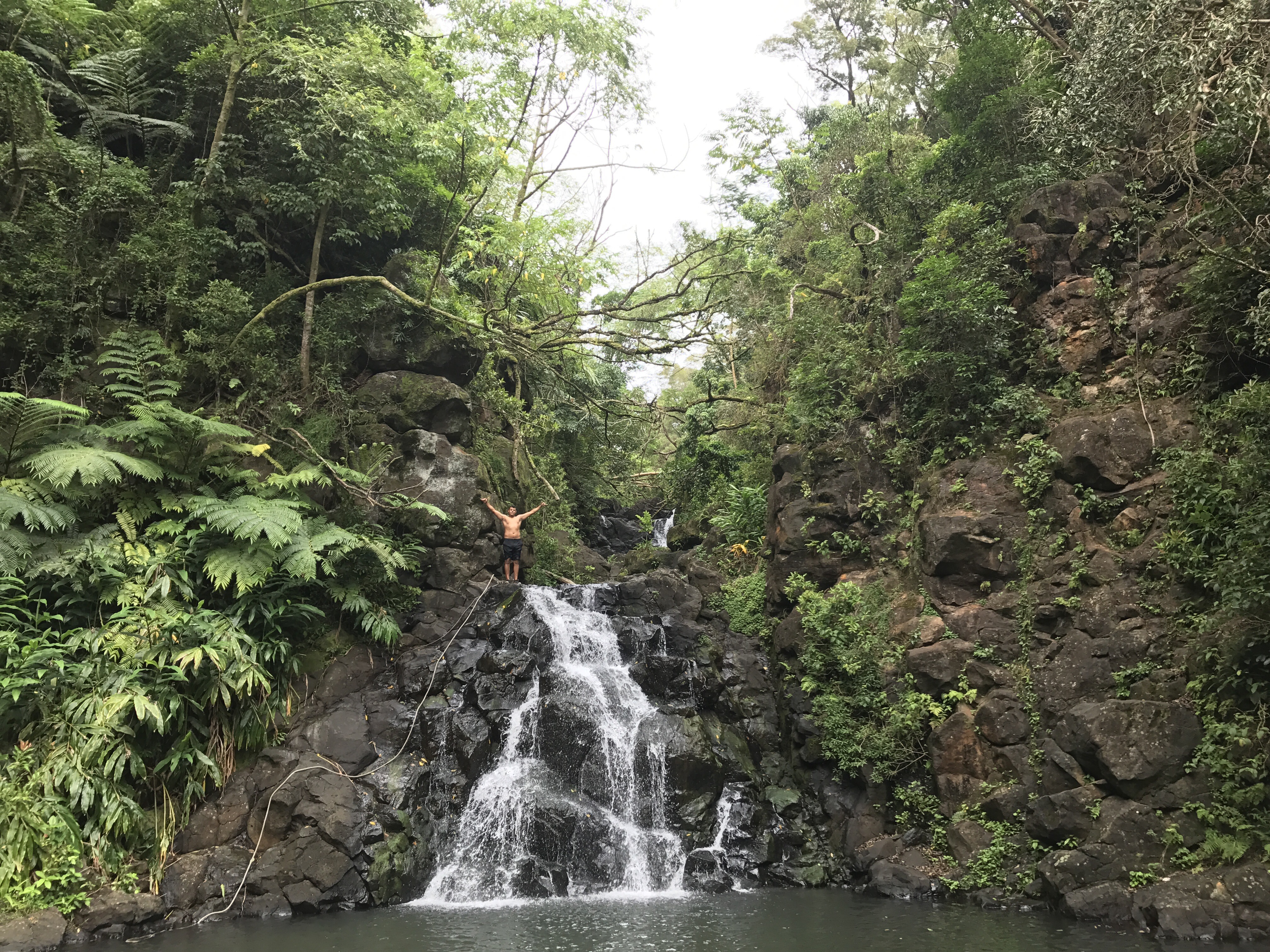 Hiking in Hawaii - Oahu full day tour to Kalihi Ice Ponds | Honolulu, HI