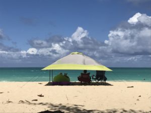See Sherwood Forest Beach in Honolulu with our Hawaii circle island tour