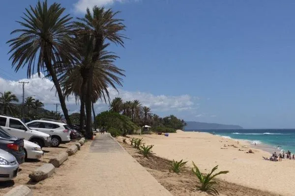 Palm trees lining the walkway near the parking area at Sunset Beach Park, with the beach and ocean in the background.