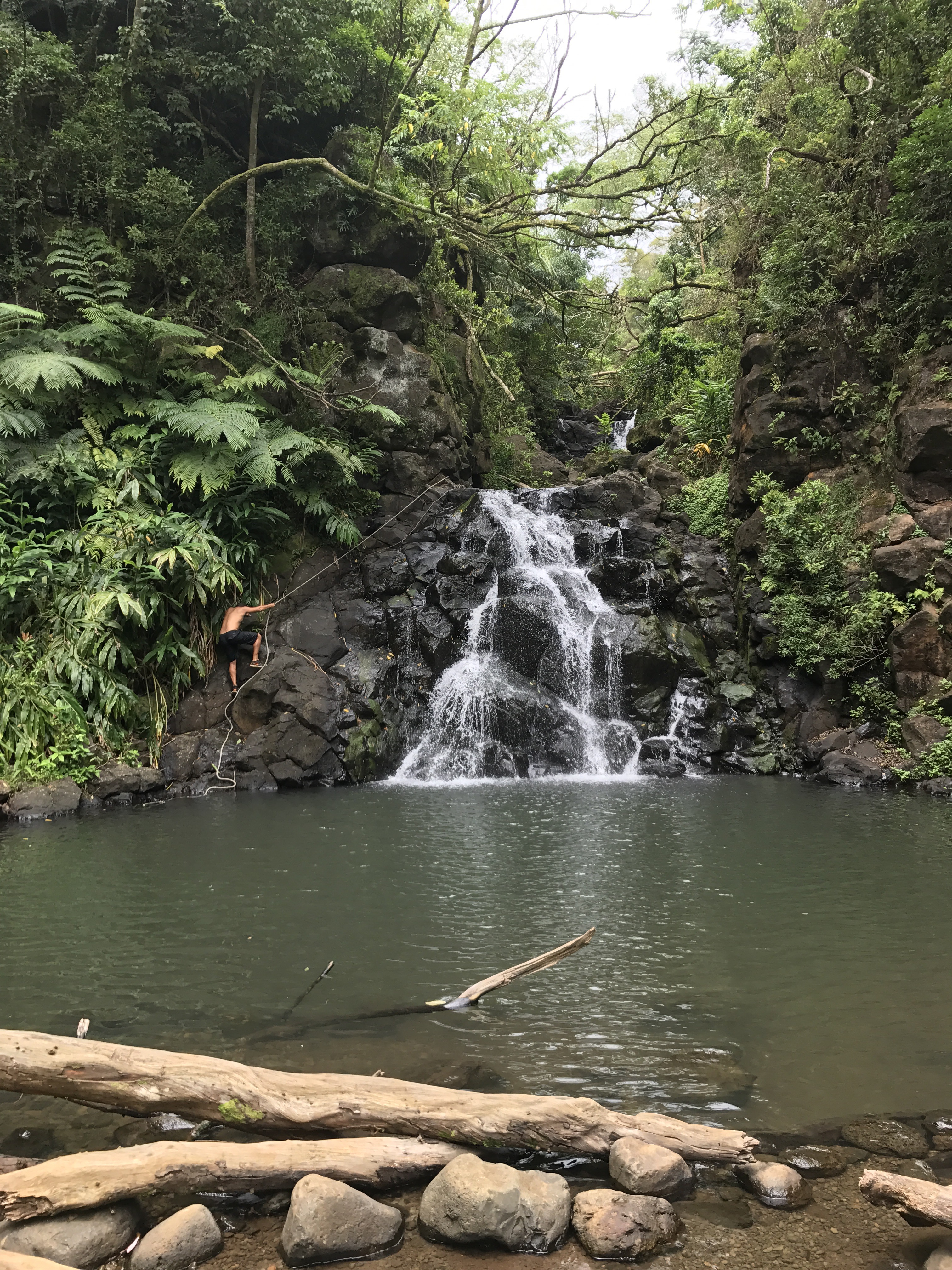 Kalihi Ice Ponds hiking with Ohana Circle Island Tour | Oahu Hawaii